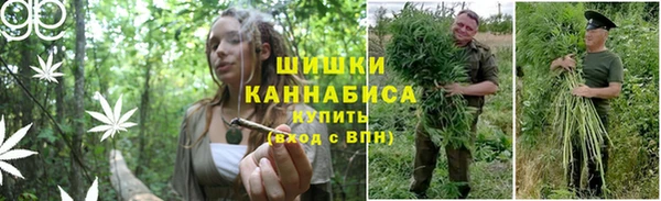тгк Верхний Тагил